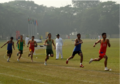 Inter House Athletics competition