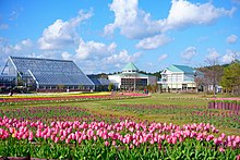 ブルーメッセ秋田（道の駅しょうわ、秋田県潟上市）