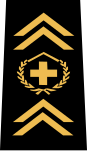 Stabsadjutant regements- förvaltare bataljonsnivå