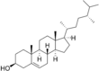 Imagen de la estructura