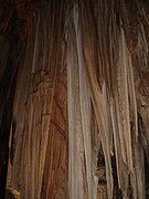 Stalactites formed inside the cave.