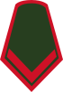 Colombia-Army-OR-3.svg