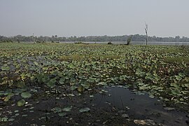 Preah Khan of Kampong Sway