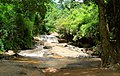 Cascate nel parco nazionale di Doi Suthep, area nel distretto di Mae Rim