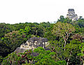 Image 8View from the top of the Lost World Pyramid, Temple IV on the right and top of pyramid 5C-49 (also known as the Talud-Tablero Temple) in the Plaza of the Lost World