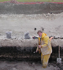 A geoarchaeologist analyzes a stratigraphy on the route of the LGV Est high-speed railway line. Geoarcheologue.JPG