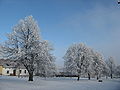 Bélyegkép a 2008. február 18., 16:04-kori változatról