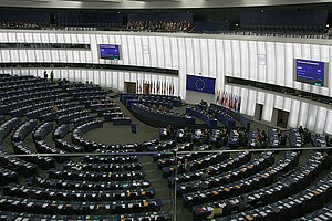 The European Parliament in debate