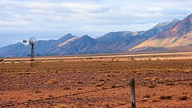 Ikara-Flinders Ranges National Park 16.jpg