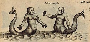 Anthropomorphos
--Johannes Jonston Historia naturalis in Latin, 1657 Jonston1657-Tab-XL-piscis-anthropomorphos.jpg