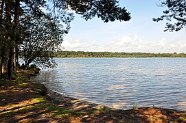 Berges du lac de Rauw