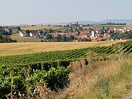 Kienheim – Veduta