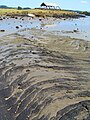 Pahoehoe lava flow from Mangere Mountain at nearby Ambury Regional Park