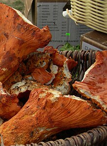 Lobster mushrooms.jpg