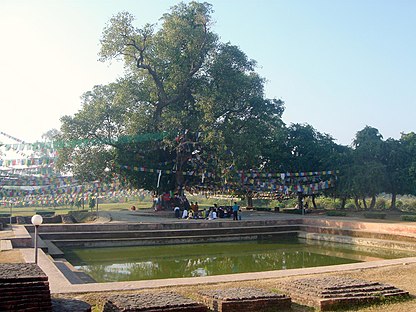 Pema Bodhi dhe pellgu në Lumbini