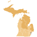 2008 Michigan Democratic presidential primary