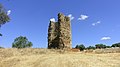 It-torri ta' Malamoneda huwa torri li jinsab fiż-żona muniċipali tal-muniċipalità ta' Hontanar, fin-nofsinhar tal-provinċja ta' Toledo, fil-qiegħ tas-Sierra del Puerco.