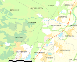 Mapa obce Leutenheim