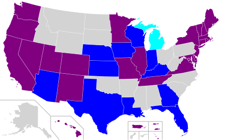 Essay on surrogacy laws