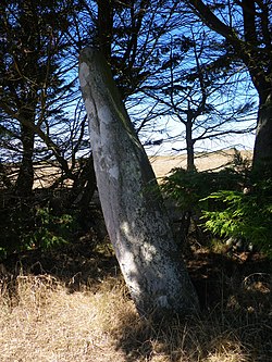 Image illustrative de l’article Menhir de Parc-er-Menhir