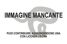 Immagine di Varanus bushi mancante