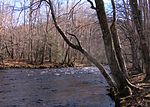 Miniatura para Río Oconaluftee