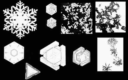 PSM V53 D090 Various snow crystal forms.png