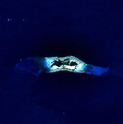 Palmyra Atoll - NASA NLT Landsat 7 (Visible Color) Satellite Image