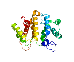 Protein ARHGAP5 PDB 2EE4.png