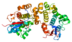 Protein DSP PDB 1lm5.png