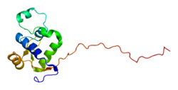 Белок WRN PDB 2axl.png