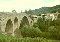 Sant Joan de les Abassedes: Pont Vell