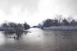 Reda River and the surrounding landscape