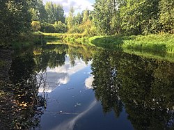 Речка Уломка в деревне Коротово