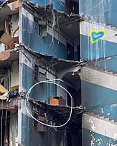 Kaks kuud pärast rünnakut hoonele päästetud kassist sai Ukraina vastupanu sümbol