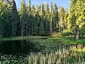Государственный парк Круглого озера.jpg