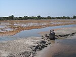 Salines de Santa Pola