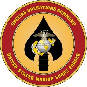 Image illustrative de l’article United States Marine Corps Forces Special Operations Command