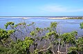 Snowy River mouth at Marlo in flood, 2012