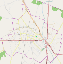 Localização de Sokołów Podlaski na Polónia