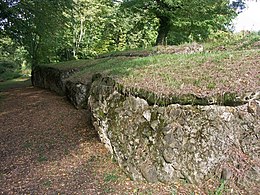 Saint-Lézer – Veduta