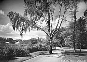 Stadsparken år 1940