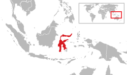 Sulawesi - Localizzazione