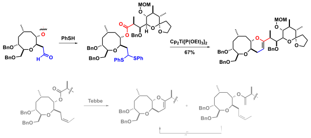 Totalsynthese Ciguatoxin