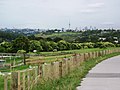 View of Meadowbank Pony Club and Auckland CBD from the pathway