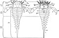 Pisipilt versioonist seisuga 23. august 2015, kell 12:35