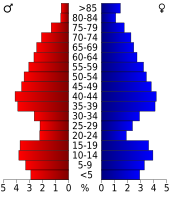 Bevolkingspiramide Clay County