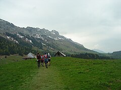 Les chalets du Char dans la descente du crêt du Char