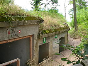 Fortifications édifiées sur le mont Vully en Suisse (FR) au cours de la première Guerre mondiale