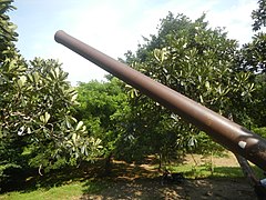 World War II-era Japanese cannon